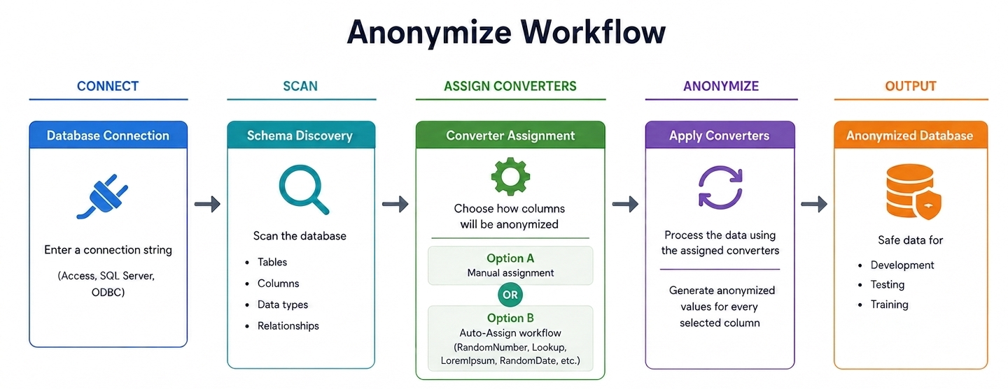 Overall workflow diagram